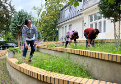 HUMAN INVESTMENT IN THE GARDENS OF THE EMBASSY OF CAMEROON IN BERLIN