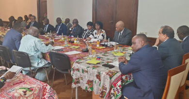 THE EMBASSY OF CAMEROON IN BERLIN HOSTED THE MEETING OF THE GROUP OF AFRICAN AMBASSADORS IN GERMANY ON TUESDAY, MAY 12, 2026